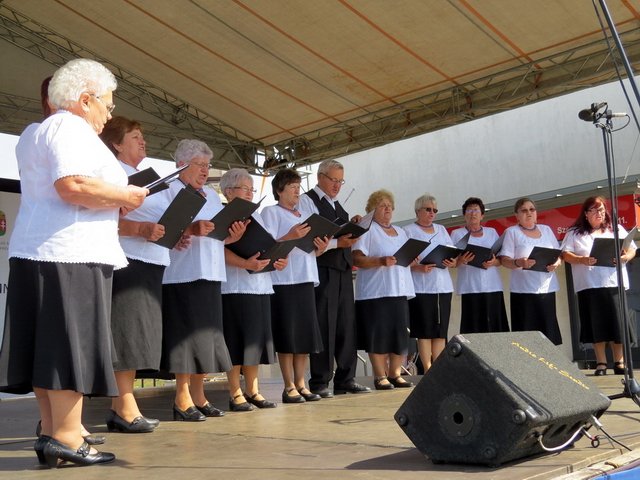 Megyei Közfoglalkoztatási Kiállítás 075